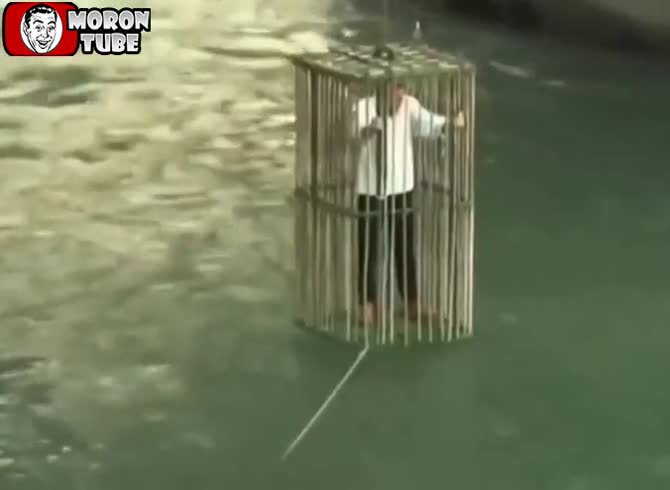 Video :Irrational politicians are bathed in a river and put in a cage in Italy
